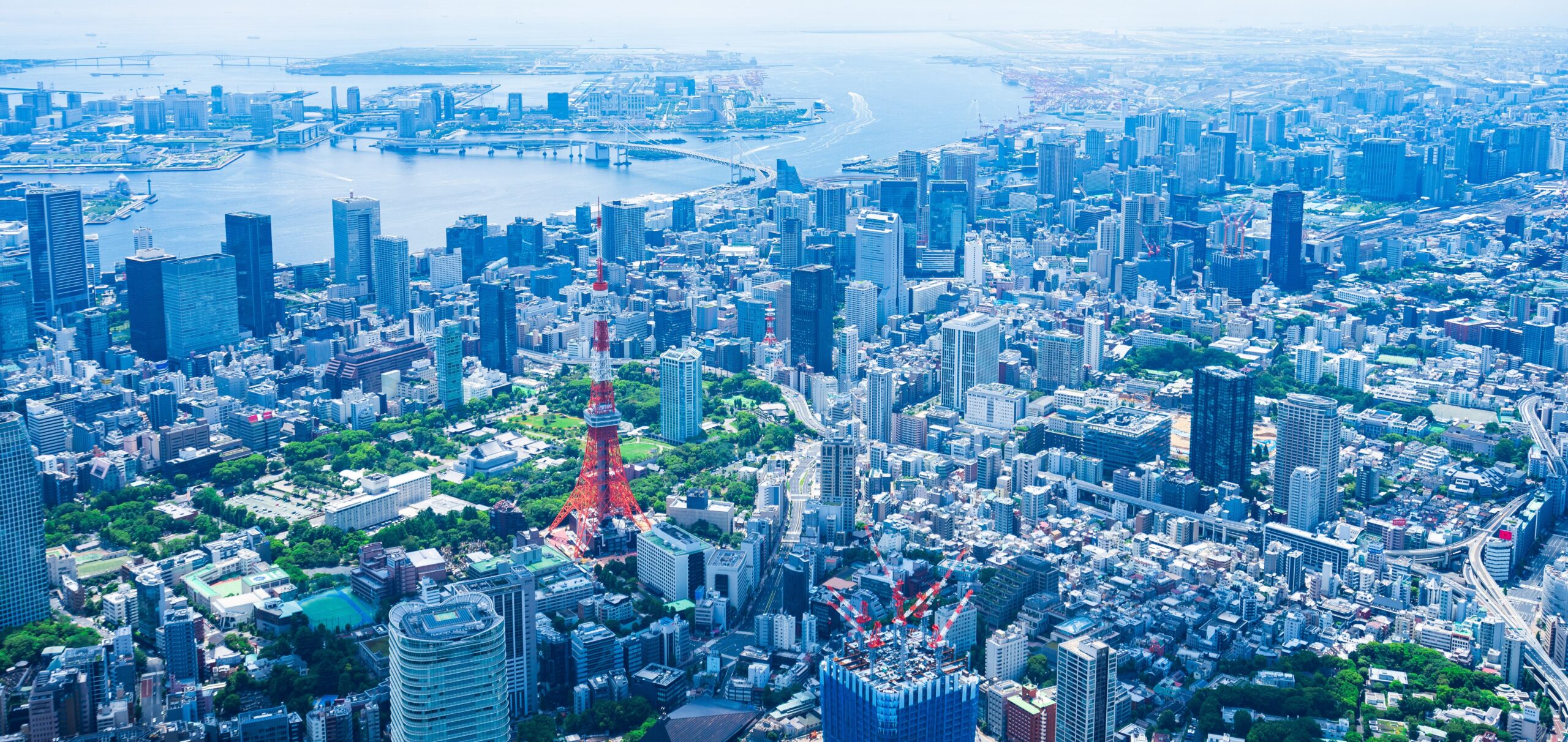 日本法律市場を牽引する法務部門の動向 2025年版